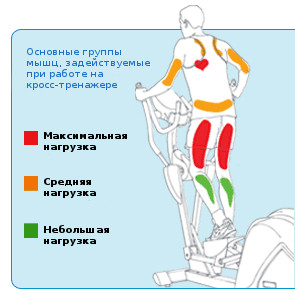 96120_original.jpg